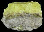 Sulfur Crystals on Matrix - Bolivia #51566-1
